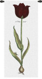 Red Tulipa Precox Wall Tapestry