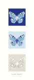 Butterfly II Prints by Elisabeth Verdonck