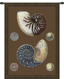 Nautilus Wall Tapestry