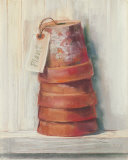 Vasi di terracotta Stampe di Carol Rowan