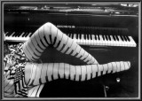 Pernas de piano Pôsters por Ben Christopher