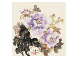 Pink Pheonies 2 Lámina giclée por Qiu Xiaoyong Pink Pheonies 2 Lámina giclée por Qiu Xiaoyong