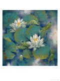 White Lotuses Lámina giclée por Shi Dan