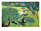 A Group of Peacocks Lámina giclée por Komi Chen