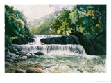 Cool Music of Mid Summer Giclee Print by Chen Kwodong