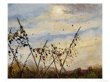 Sunset Giclee Print by Ding An