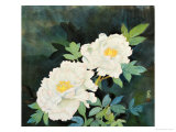 Twin Flowers Giclee-trykk av Lu Bisa Twin Flowers Giclee-trykk av Lu Bisa