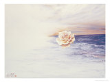 Sea Rose Giclee Print by Chen Kwodong
