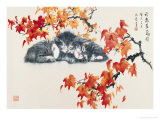 Cats in Late Autumn Reproduction procédé giclée par Hung Juihsia