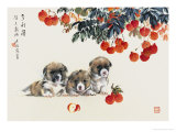 Puppies Under the Lychee Tree Reproduction procédé giclée par Hung Juihsia