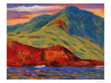 Right Side of Turtle Island Giclée-Druck von Chao Tsungkwan