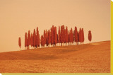 Sunset, Tuscany Leinwand von W. Krecichwost