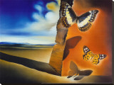 Landscape with Butterflies Stretched Canvas Print by Salvador Dalí