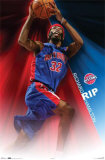 Detroit Pistons- Richard Hamilton Posters