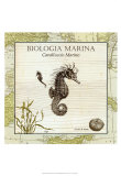 Biologia Marina III Prints
