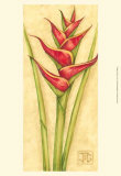Red Heliconia Láminas por Jennifer Goldberger