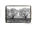 Conservatory II Lámina giclée por Laura Denardo Conservatory II Lámina giclée por Laura Denardo