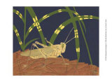 Ornamental Grasshopper I Pósters por Nina Tenser