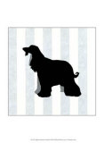 Afghan Hound in Neutral Posters by Christine Lucas
