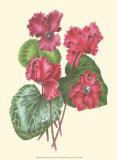 Bountiful Garden I Prints Bountiful Garden I Prints