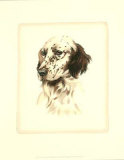 Setter Affiches par Danchin 