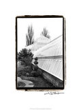 Conservatory IV Giclee Print by Laura Denardo