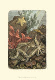 Under the Sea I Poster
