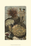 Under the Sea II Plakater Under the Sea II Plakater