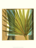 Seaside Palms I Arte por Jennifer Goldberger Seaside Palms I Arte por Jennifer Goldberger