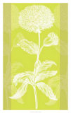 Efflorescence I Art
