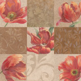 Poppy Patchwork II Poster av Viv Bowles Poppy Patchwork II Poster av Viv Bowles