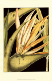 Tranquil Tropical Leaves III Art