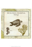 Biologia Marina IV Print