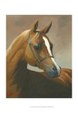 Chestnut Art by Hussein Al Shikaki