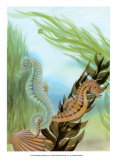 Seahorse Serenade IV Kunst von Charles Swinford