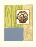 Seaside Shells IV Poster par Jennifer Goldberger
