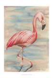 Pink Flamingo I Art par Jennifer Goldberger
