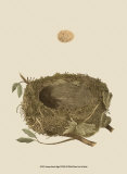 Antique Nest and Egg I Kunstdrucke von Reverend Francis O. Morris