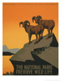 Parcs nationaux Affiches par J. Hirt