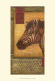 Grasslands Batik III Prints by Ethan Harper