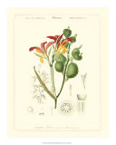 Lush Tropical I Prints