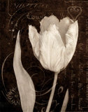Garden Architecture II Affiches par Amy Melious