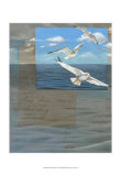 Three White Gulls III Prints by Tara Friel