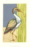 Seaside Herons I Prints by Jennifer Goldberger