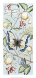 Butterfly Sky II Posters by Megan Meagher