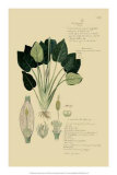 Tropical Grasses I Art by A. Descubes Tropical Grasses I Art by A. Descubes