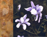 First Impressions I Prints by Judi Bagnato