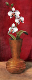 White Flower II Posters par Tom Ward