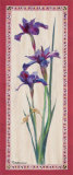 Iris Panel II Affiches par Ruth Baderian