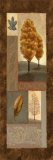 Mandarin Elements I Prints by Tom Ward